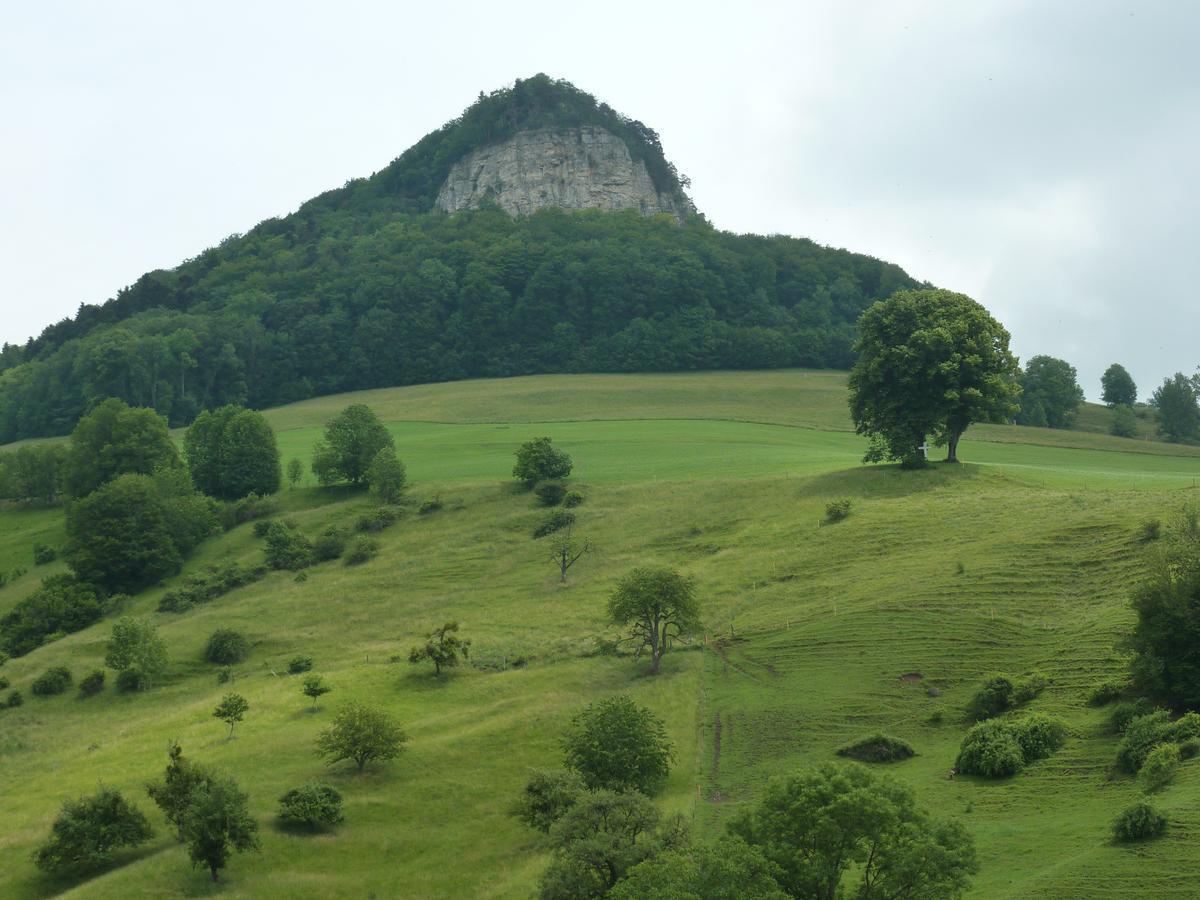 Gasthof Loewen Wisen ภายนอก รูปภาพ